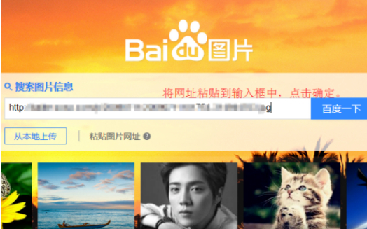 国产美女牲交视频