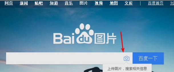 无码成人片在线播放